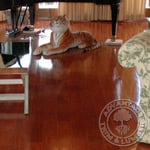  Exotic Hardwood Flooring