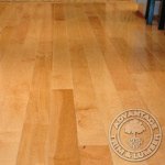 Bird's Eye Maple