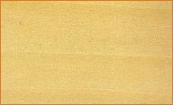 poplar lumber