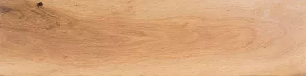 Live Oak Turning Blanks